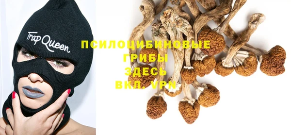 ПСИЛОЦИБИНОВЫЕ ГРИБЫ Аркадак