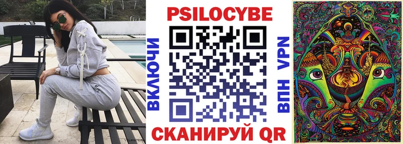 OMG вход купить Хилок Псилоцибиновые грибы прущие грибы